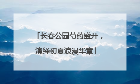 长春公园芍药盛开，演绎初夏浪漫华章