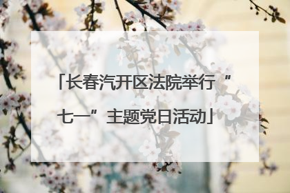 长春汽开区法院举行“七一”主题党日活动