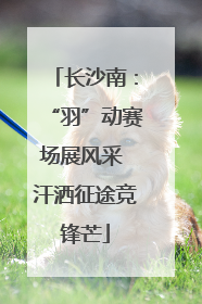长沙南：“羽”动赛场展风采 汗洒征途竞锋芒