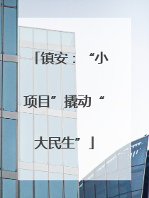 镇安：“小项目”撬动“大民生”