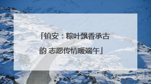 镇安：粽叶飘香承古韵 志愿传情暖端午