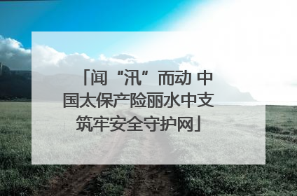 闻“汛”而动 中国太保产险丽水中支筑牢安全守护网