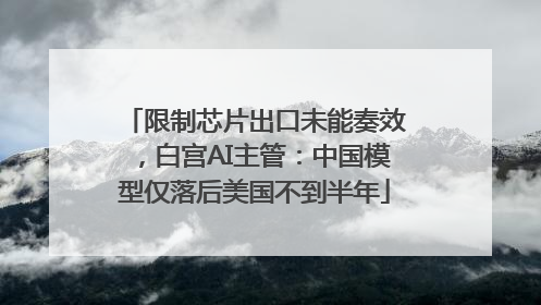 限制芯片出口未能奏效，白宫AI主管：中国模型仅落后美国不到半年