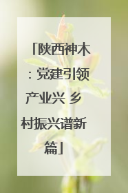 陕西神木：党建引领产业兴 乡村振兴谱新篇