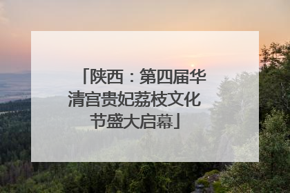 陕西：第四届华清宫贵妃荔枝文化节盛大启幕