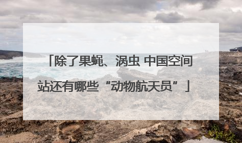 除了果蝇、涡虫 中国空间站还有哪些“动物航天员”
