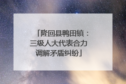 隆回县鸭田镇：三级人大代表合力调解矛盾纠纷