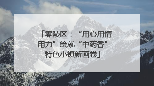 零陵区：“用心用情用力”绘就“中药香”特色小镇新画卷