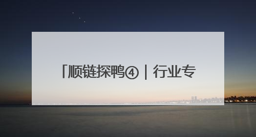 顺链探鸭④｜行业专家：我省肉鸭养殖品种80%是樱桃谷鸭