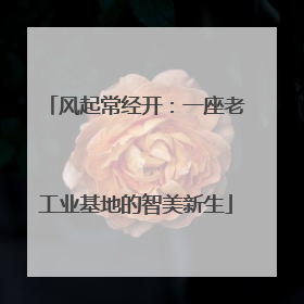 风起常经开：一座老工业基地的智美新生