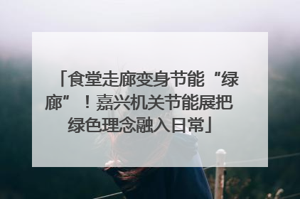 食堂走廊变身节能“绿廊”！嘉兴机关节能展把绿色理念融入日常