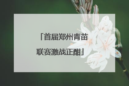首届郑州青苗联赛激战正酣