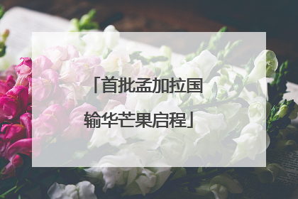 首批孟加拉国输华芒果启程