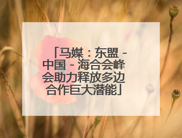 马媒：东盟－中国－海合会峰会助力释放多边合作巨大潜能