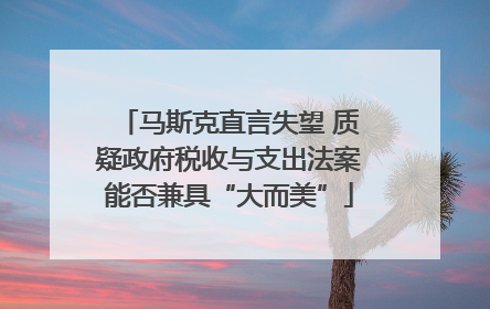 马斯克直言失望 质疑政府税收与支出法案能否兼具“大而美”