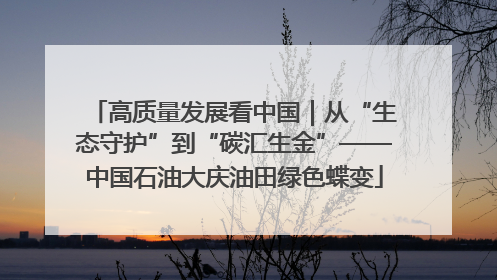 高质量发展看中国｜从“生态守护”到“碳汇生金”——中国石油大庆油田绿色蝶变