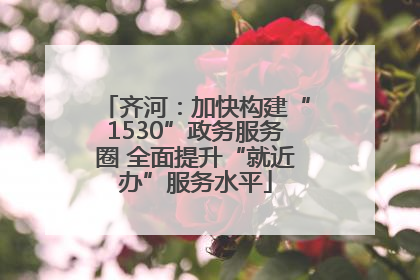 齐河：加快构建“1530”政务服务圈 全面提升“就近办”服务水平