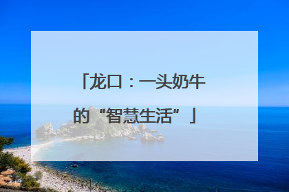 龙口：一头奶牛的“智慧生活”