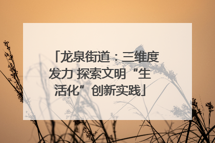 龙泉街道：三维度发力 探索文明“生活化”创新实践
