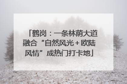 鹤岗：一条林荫大道融合“自然风光＋欧陆风情”成热门打卡地