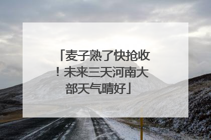 麦子熟了快抢收！未来三天河南大部天气晴好