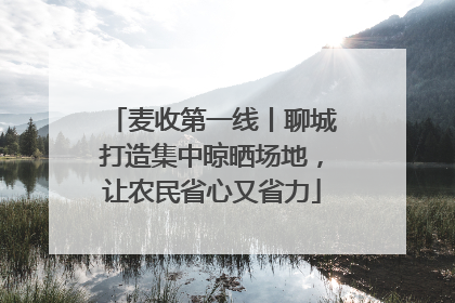 麦收第一线丨聊城打造集中晾晒场地，让农民省心又省力
