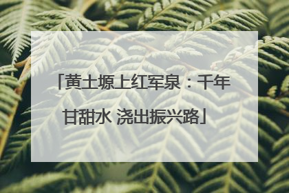 黄土塬上红军泉：千年甘甜水 浇出振兴路