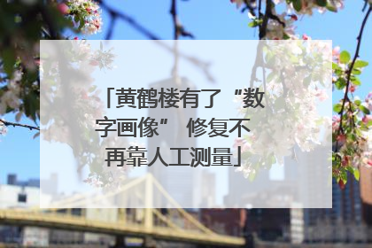 黄鹤楼有了“数字画像” 修复不再靠人工测量