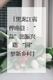 黑龙江省桦南县：“蒜”出振兴路 “园”梦新乡村