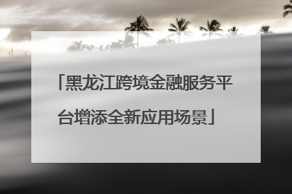黑龙江跨境金融服务平台增添全新应用场景