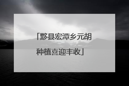 黟县宏潭乡元胡种植喜迎丰收