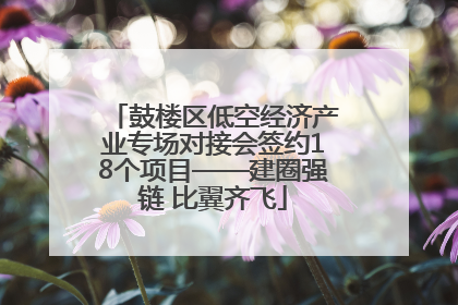 鼓楼区低空经济产业专场对接会签约18个项目——建圈强链 比翼齐飞