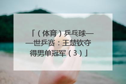 （体育）乒乓球——世乒赛：王楚钦夺得男单冠军（3）