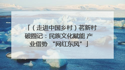 （走进中国乡村）茗新村破圈记：民族文化赋能 产业借势 “网红东风”