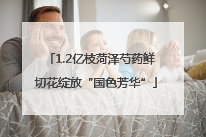 1.2亿枝菏泽芍药鲜切花绽放“国色芳华”