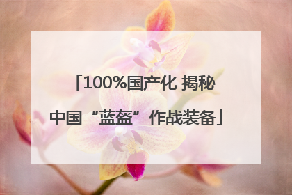 100%国产化 揭秘中国“蓝盔”作战装备