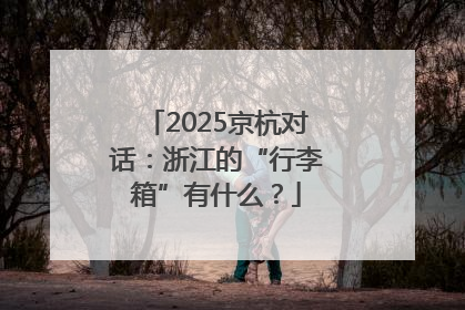 2025京杭对话：浙江的“行李箱”有什么？