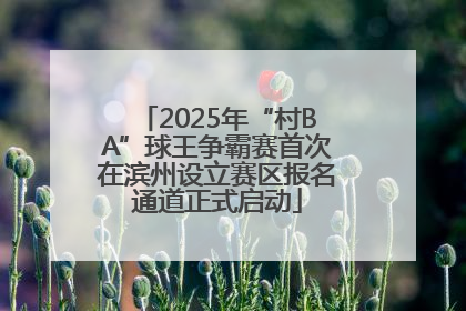 2025年“村BA”球王争霸赛首次在滨州设立赛区报名通道正式启动
