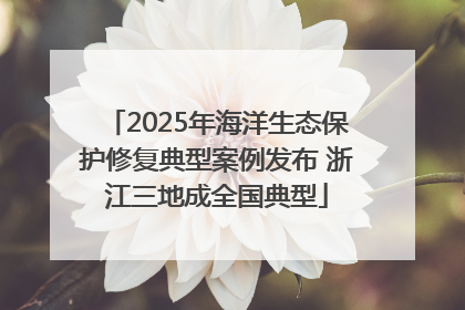 2025年海洋生态保护修复典型案例发布 浙江三地成全国典型