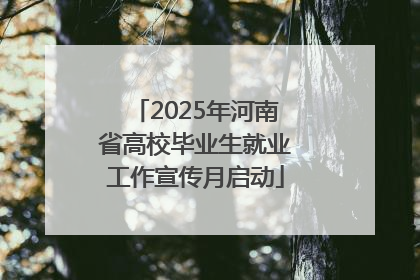 2025年河南省高校毕业生就业工作宣传月启动