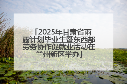 2025年甘肃省雨露计划毕业生暨东西部劳务协作促就业活动在兰州新区举办