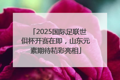 2025国际足联世俱杯开赛在即，山东元素期待精彩亮相