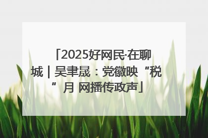 2025好网民·在聊城｜吴聿晟：党徽映“税”月 网播传政声