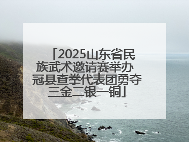 2025山东省民族武术邀请赛举办 冠县查拳代表团勇夺三金二银一铜