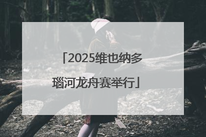 2025维也纳多瑙河龙舟赛举行