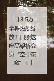 3.5万余株热烈绽放！日照这座高架桥变身“空中花廊”！