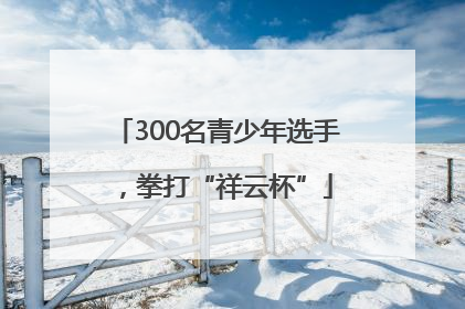 300名青少年选手，拳打“祥云杯”