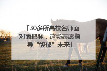 30多所高校名师面对面把脉，这场志愿指导“馥郁”未来
