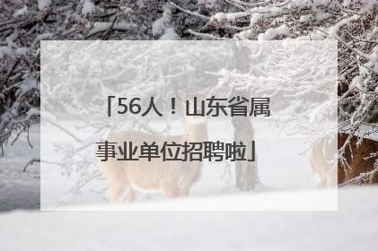 56人！山东省属事业单位招聘啦