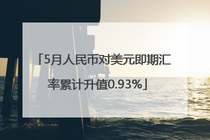 5月人民币对美元即期汇率累计升值0.93%